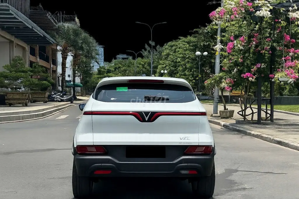 Hình ảnh số 3