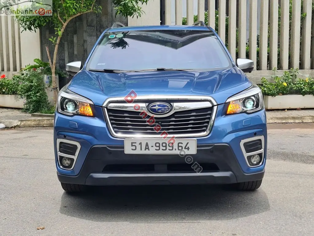 Hình ảnh số 2