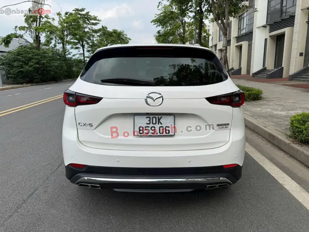 Hình ảnh số 5