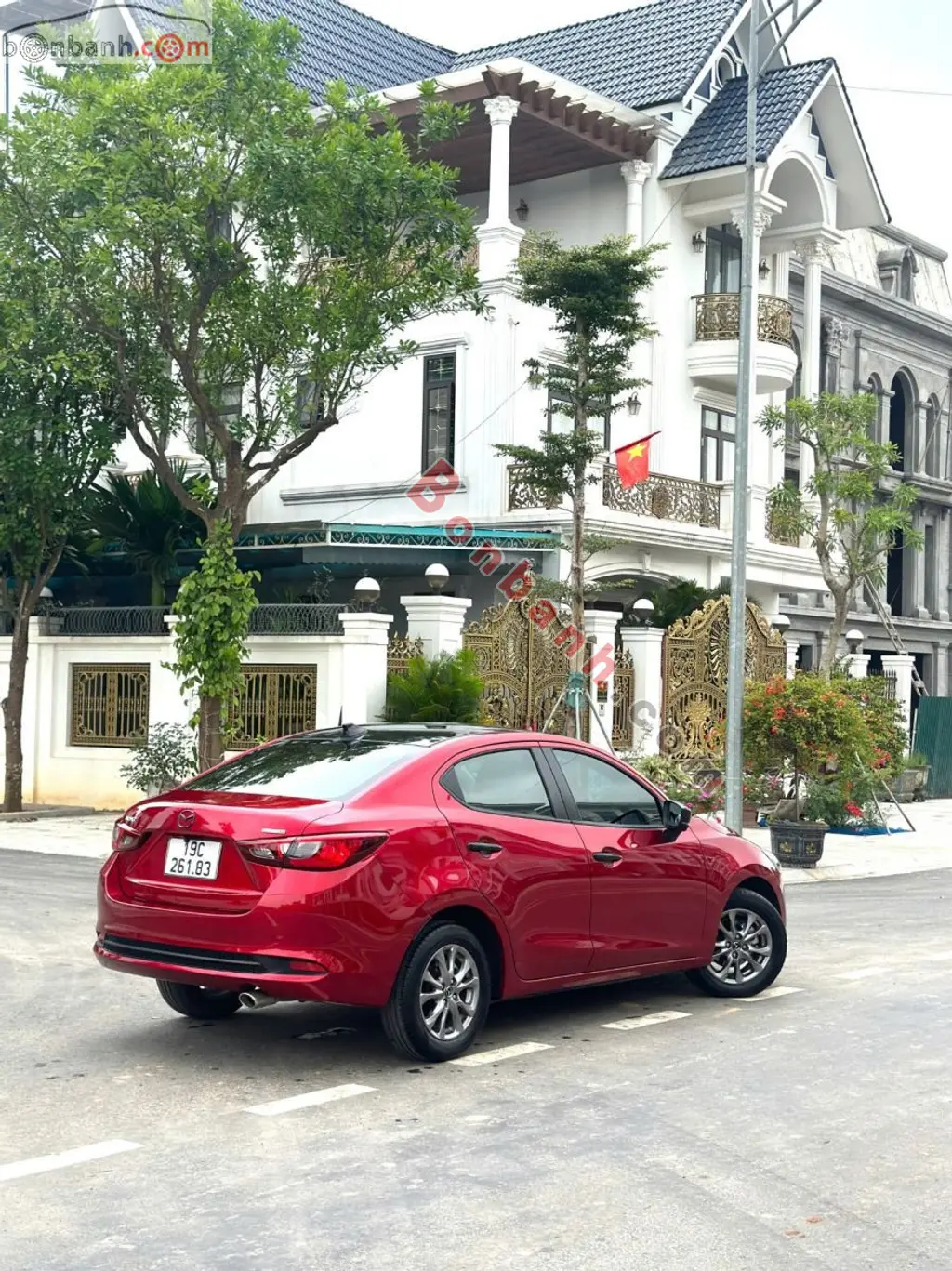 Hình ảnh số 4