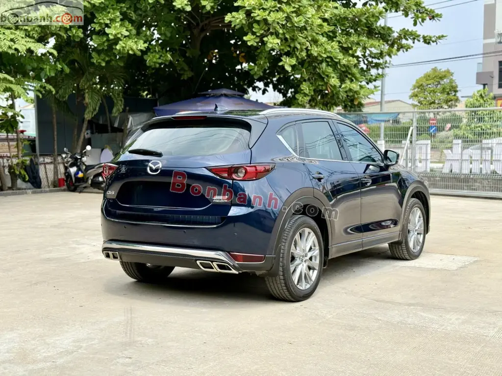 Hình ảnh số 3