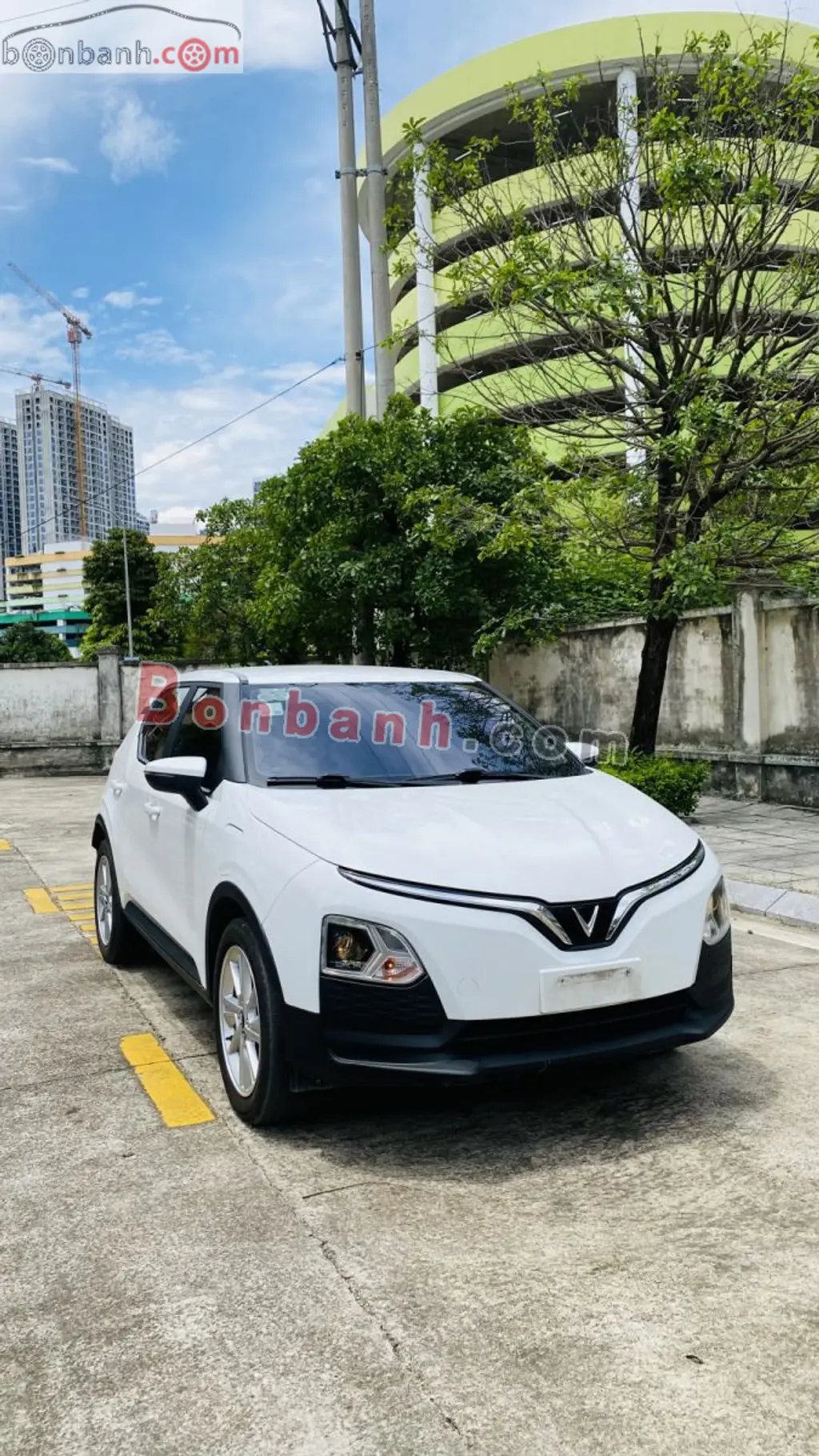 Hình ảnh số 2