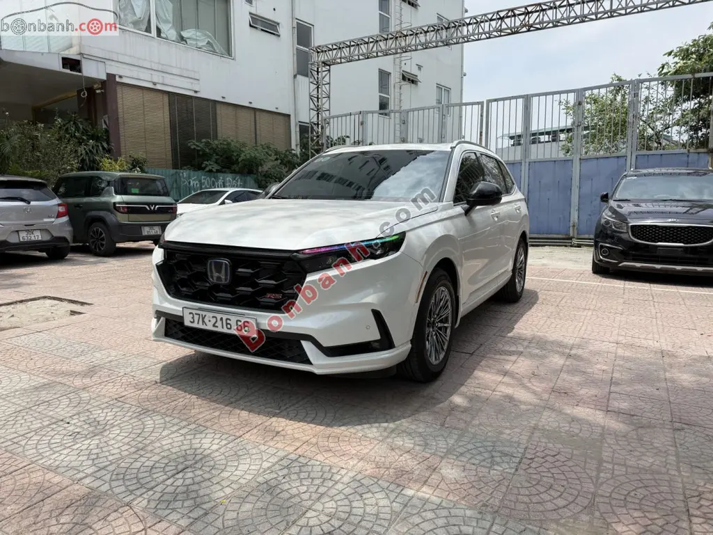 Hình ảnh số 2