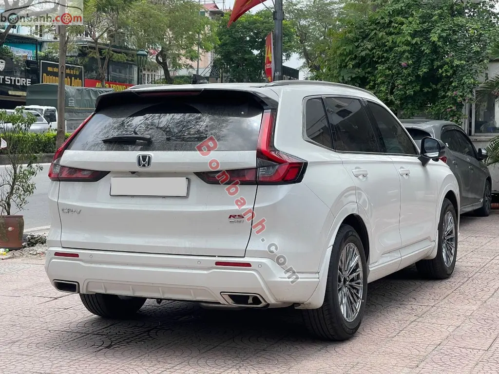 Hình ảnh số 4