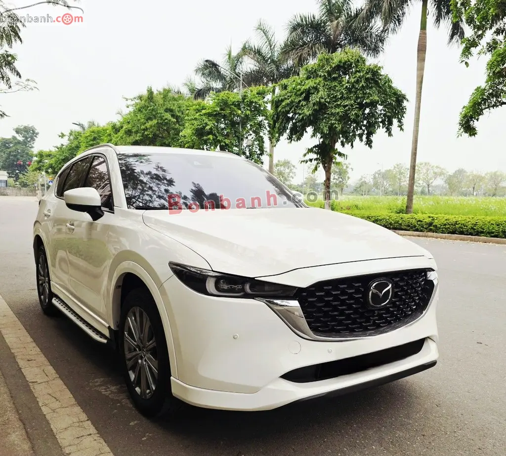 Hình ảnh số 2