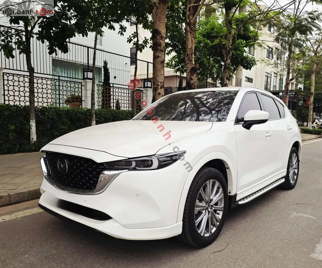 Hình ảnh số 3