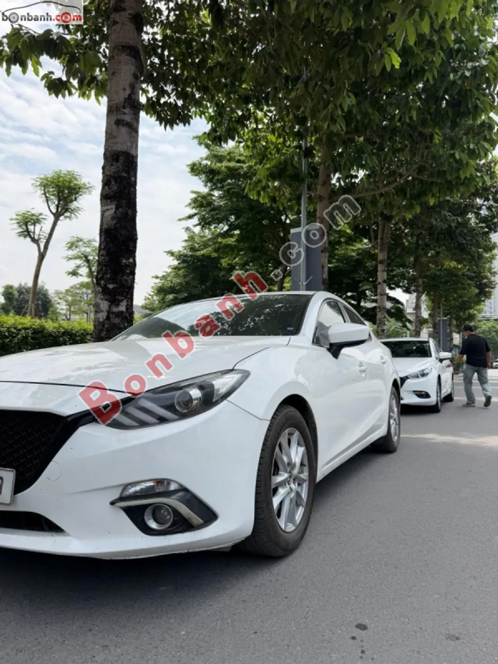 Hình ảnh số 3