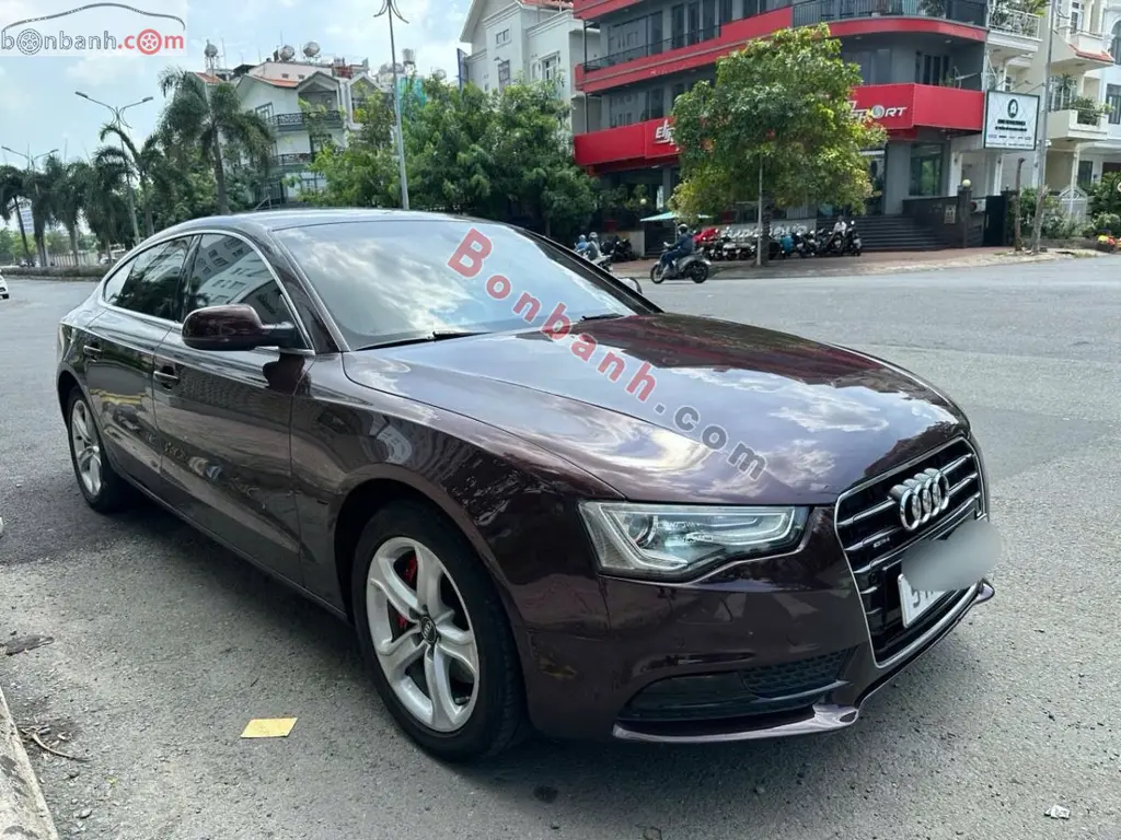 Hình ảnh số 2