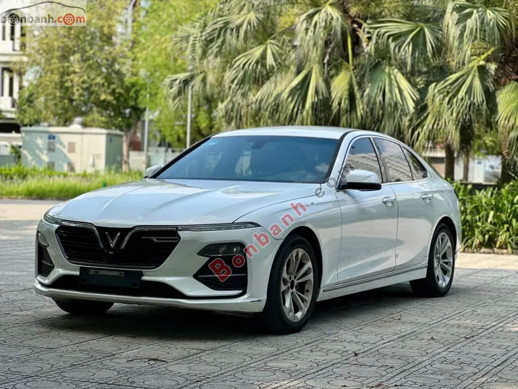 Hình ảnh số 2