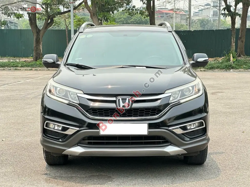 Hình ảnh số 2