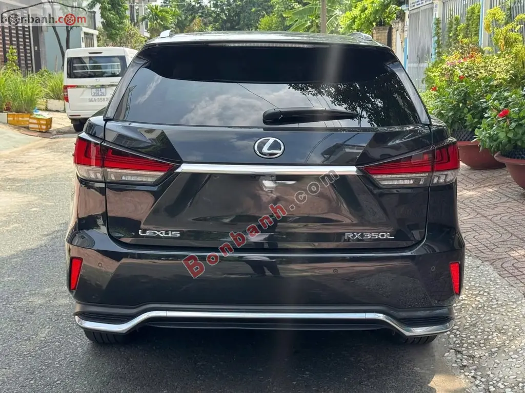 Hình ảnh số 3