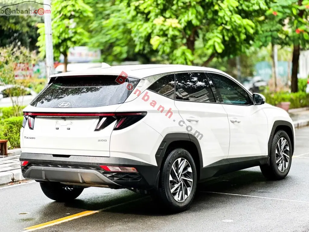 Hình ảnh số 3