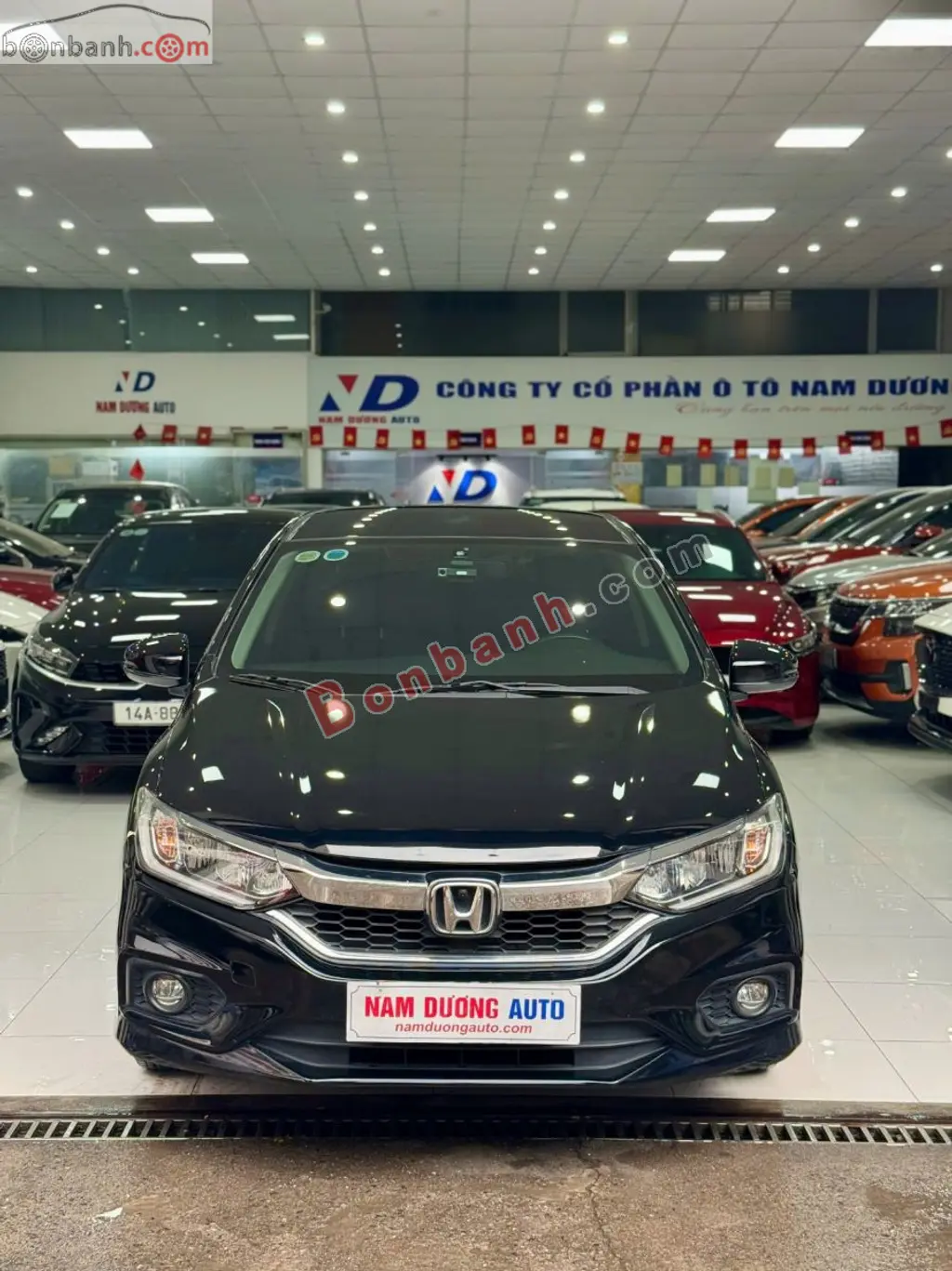 Hình ảnh số 2