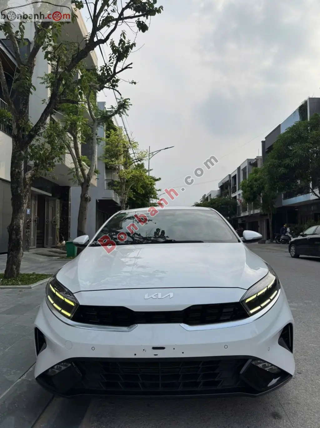 Hình ảnh số 2