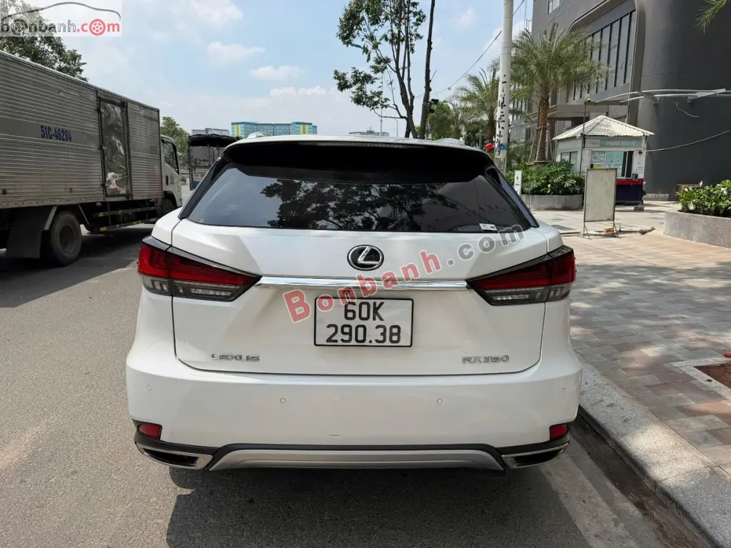 Hình ảnh số 4