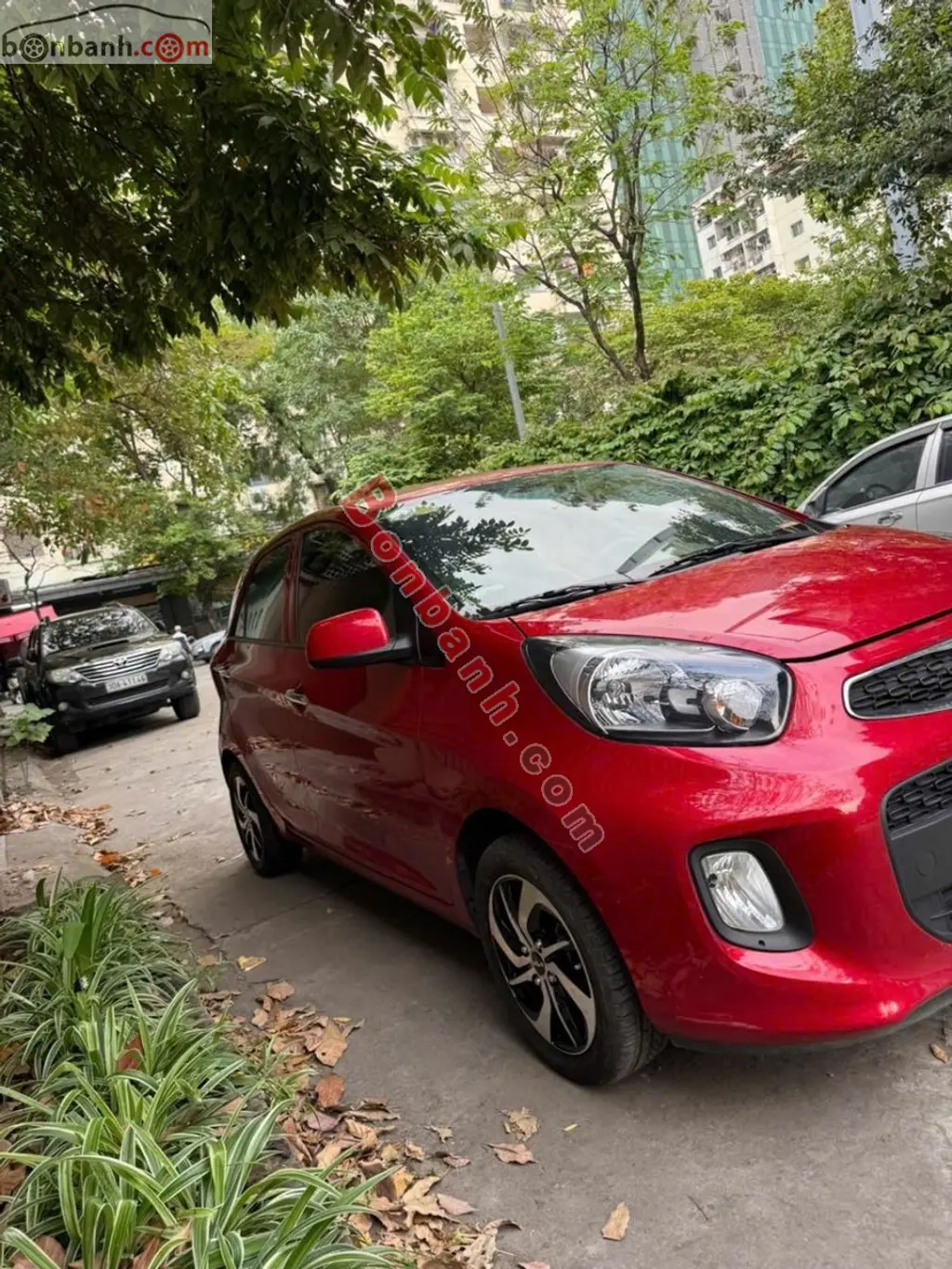 Hình ảnh số 2