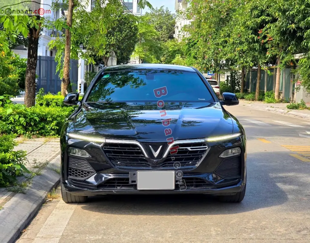 Hình ảnh số 2