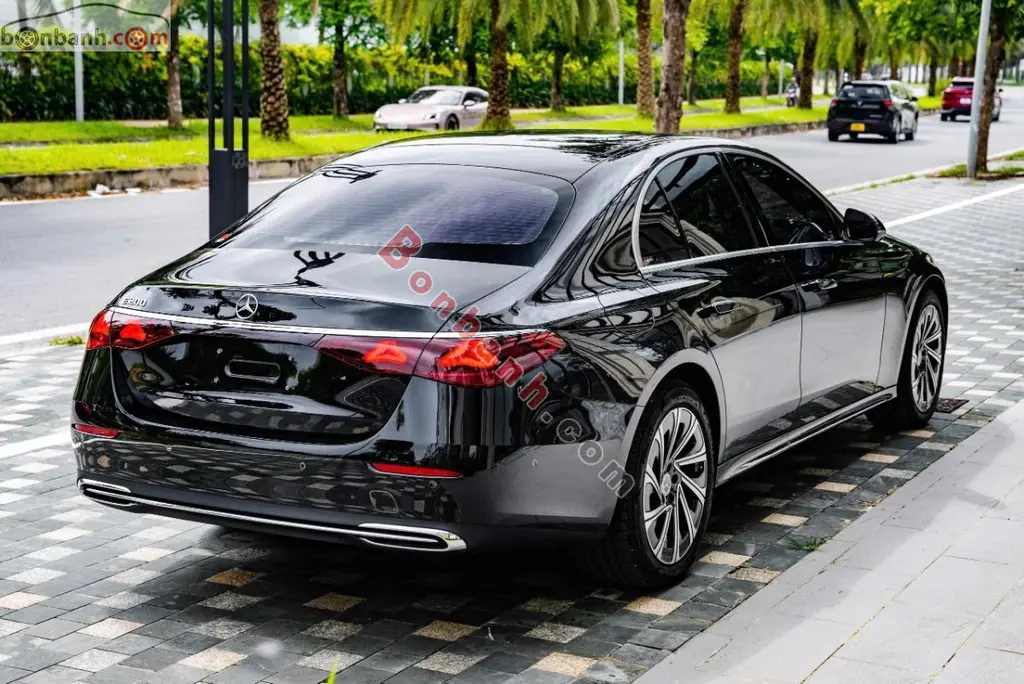 Hình ảnh số 3