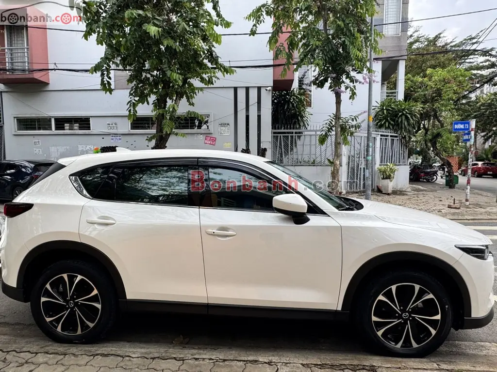 Hình ảnh số 3