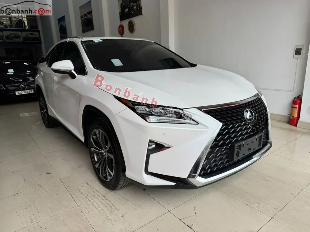 Hình ảnh số 3