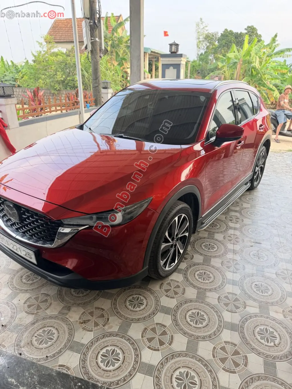 Hình ảnh số 2