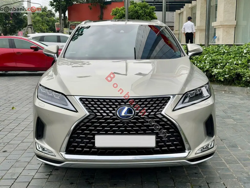 Hình ảnh số 2