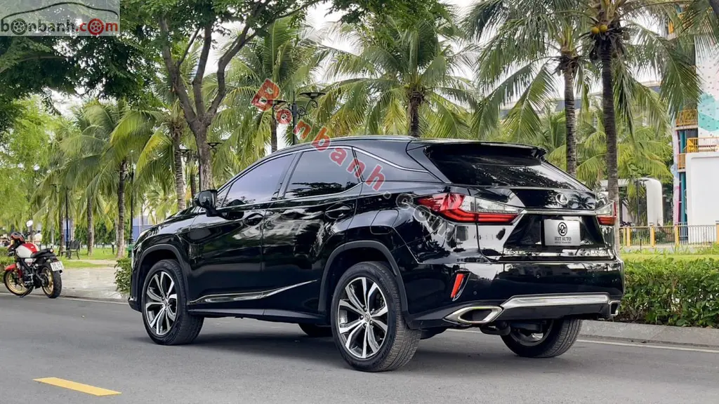 Hình ảnh số 3