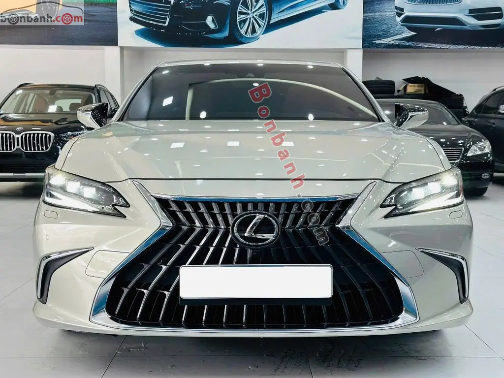 Hình ảnh số 3