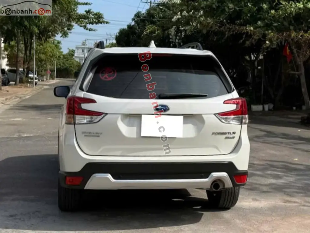 Hình ảnh số 4