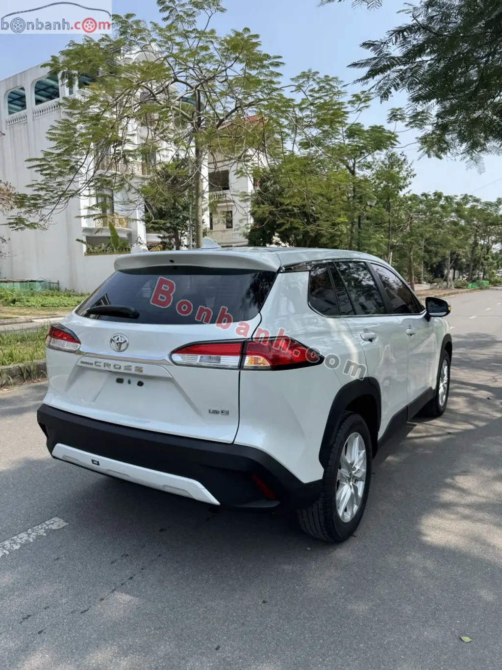 Hình ảnh số 4