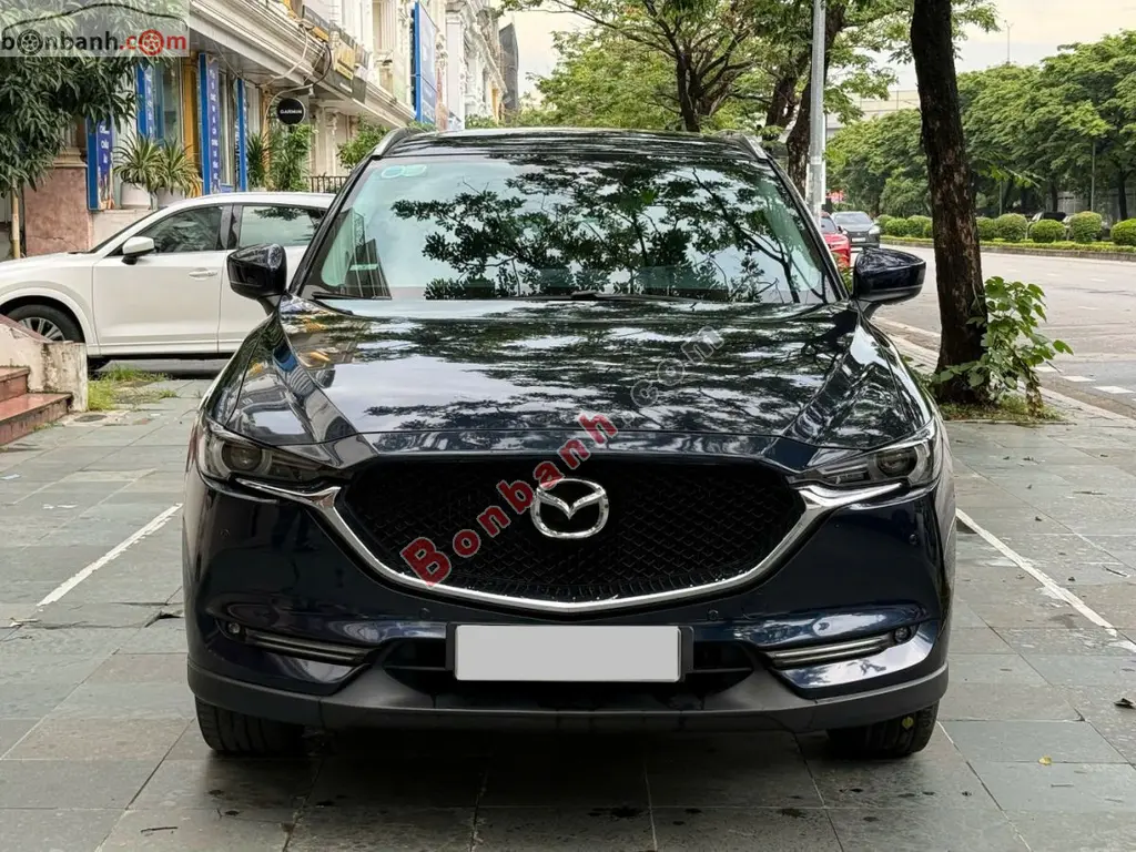 Hình ảnh số 2