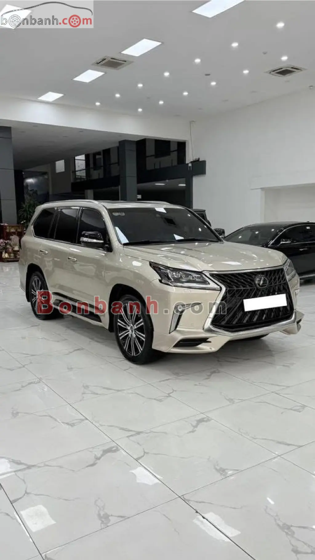 Hình ảnh số 2