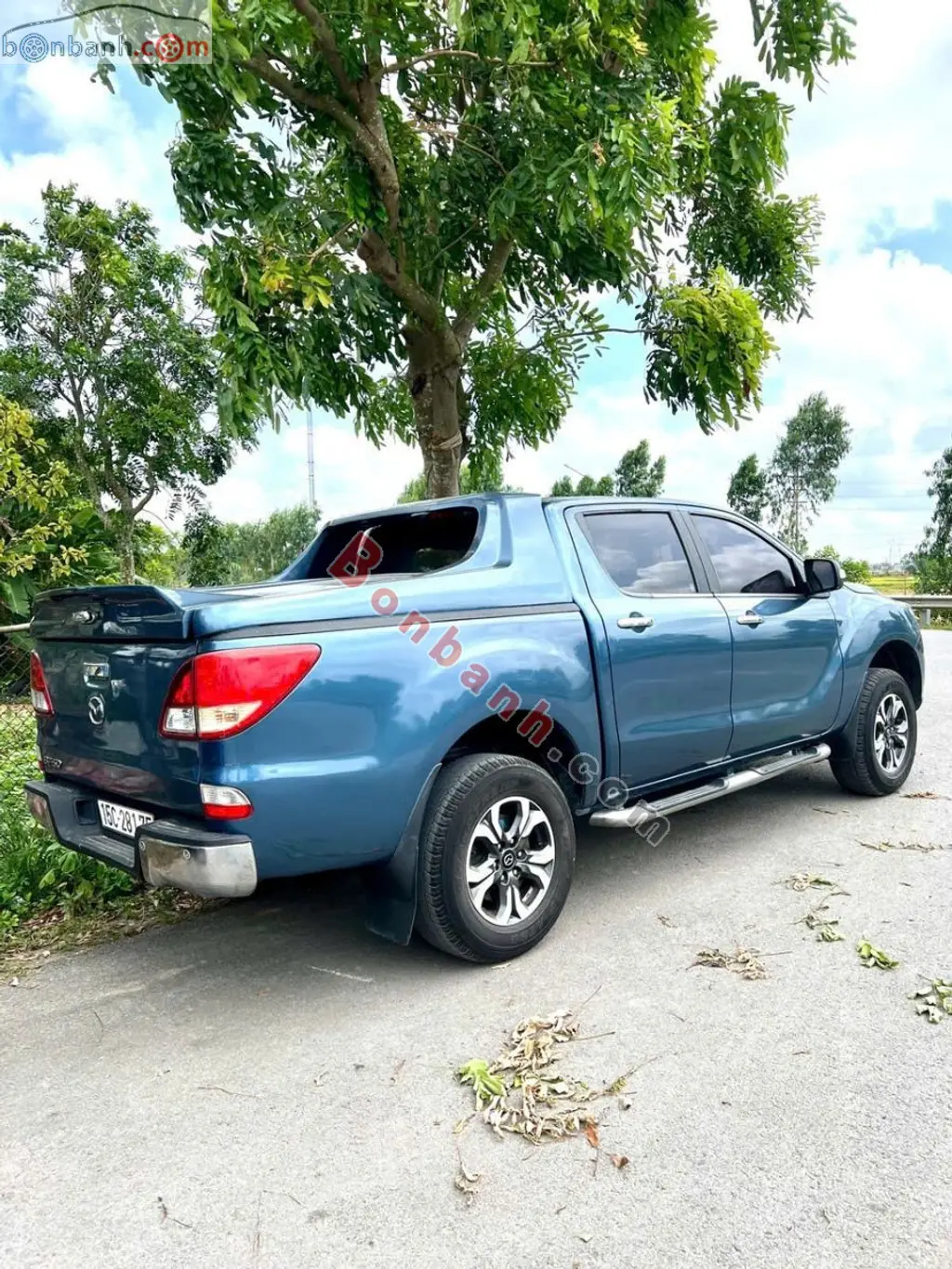 Hình ảnh số 2