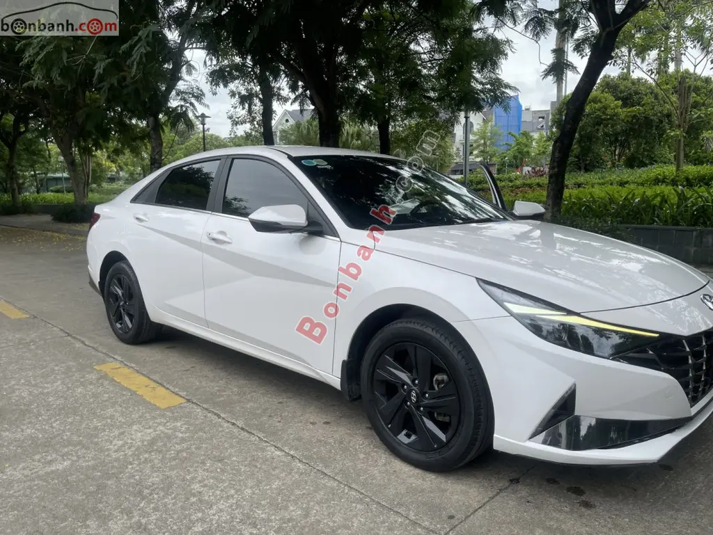 Hình ảnh số 2