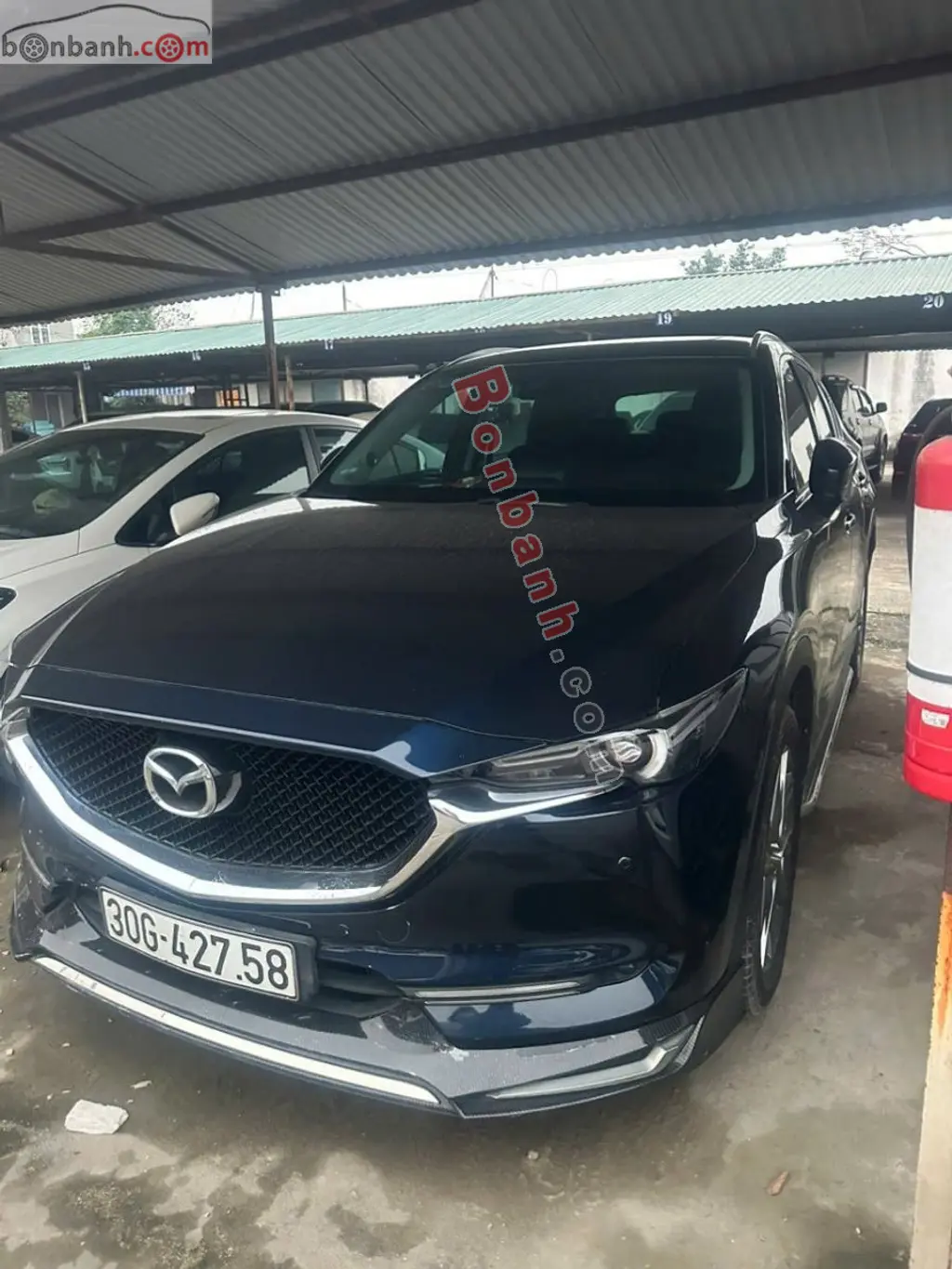 Hình ảnh số 2