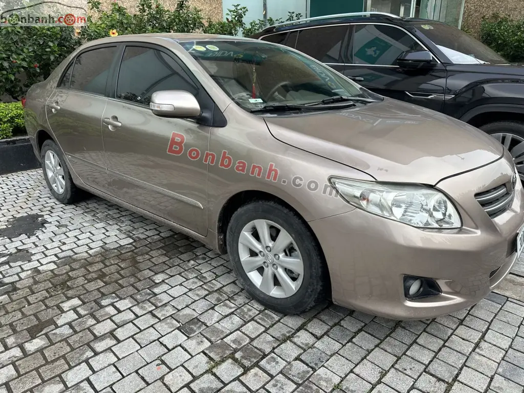 Hình ảnh số 2
