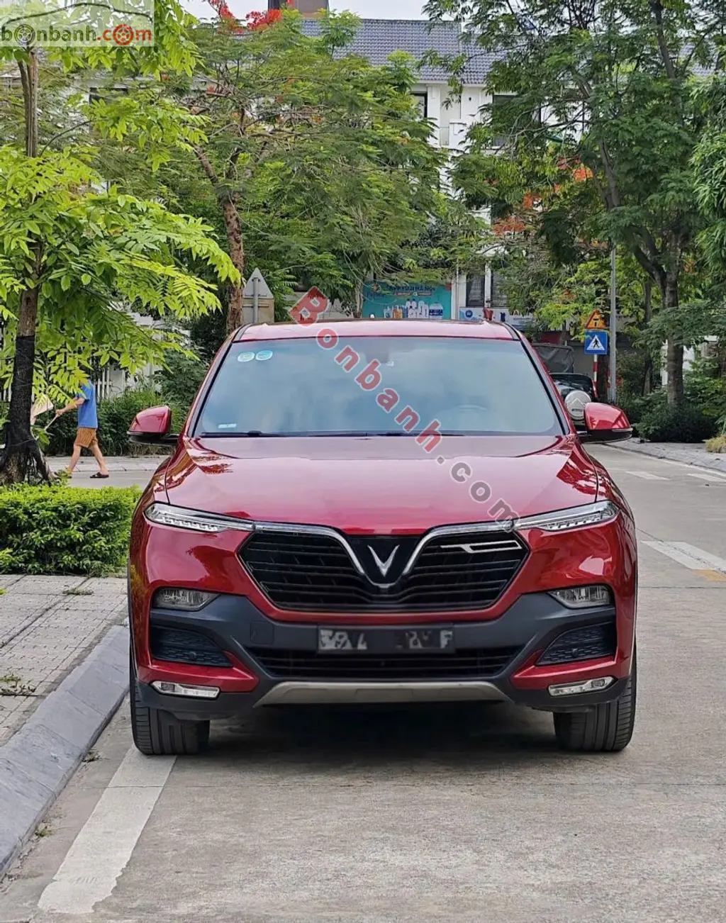 Hình ảnh số 8