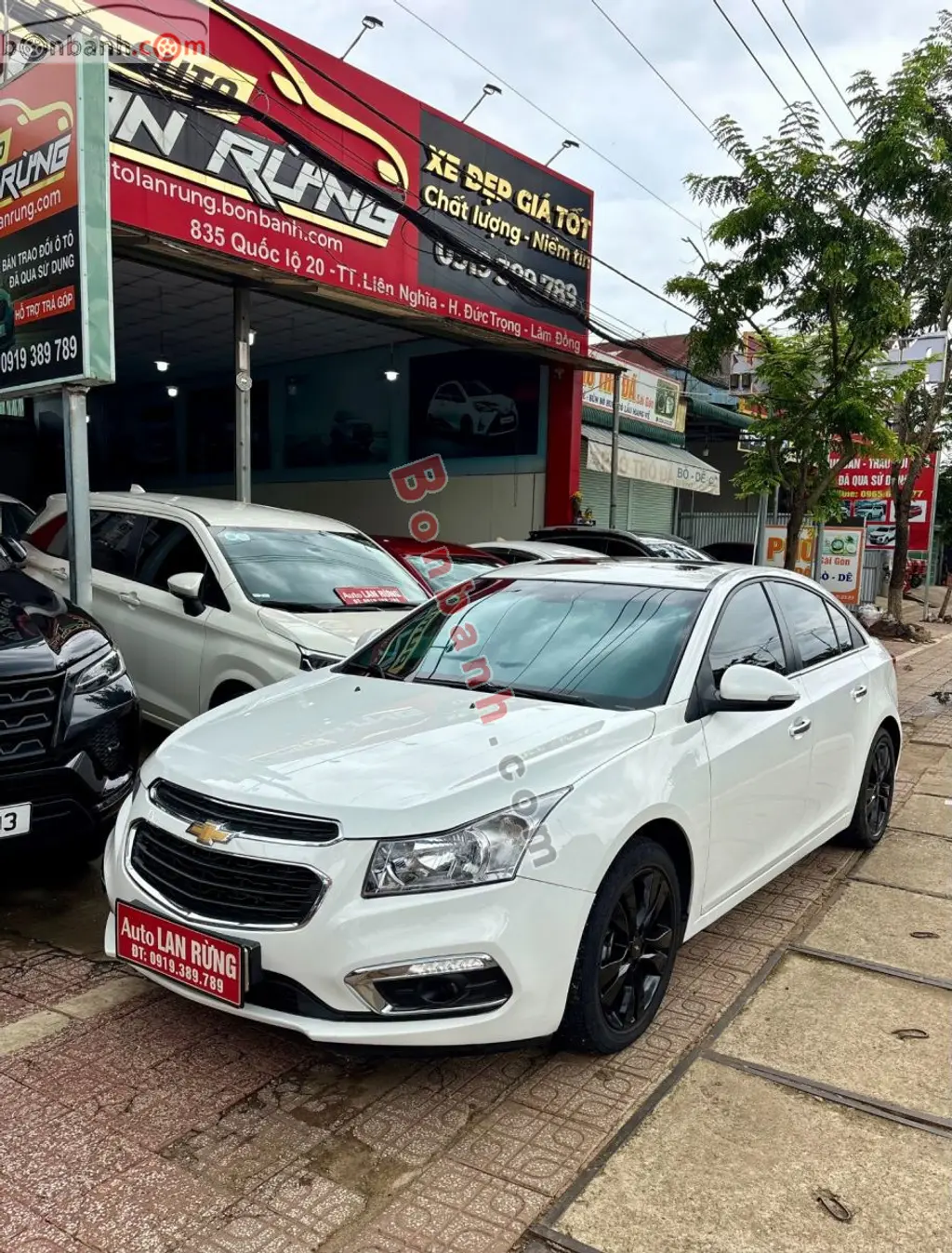 Hình ảnh số 4