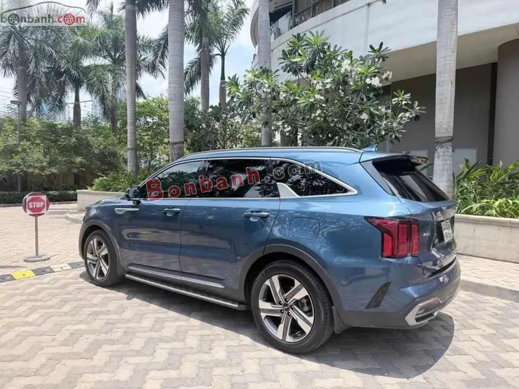 Hình ảnh số 2