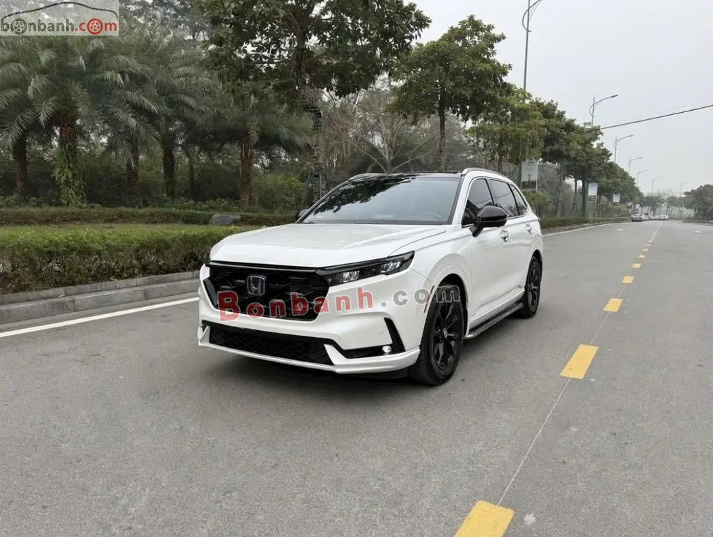 Hình ảnh số 3