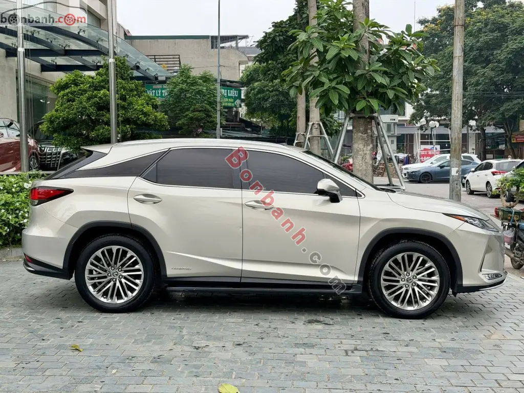 Hình ảnh số 3