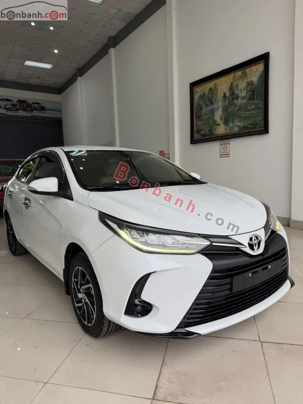 Hình ảnh số 2