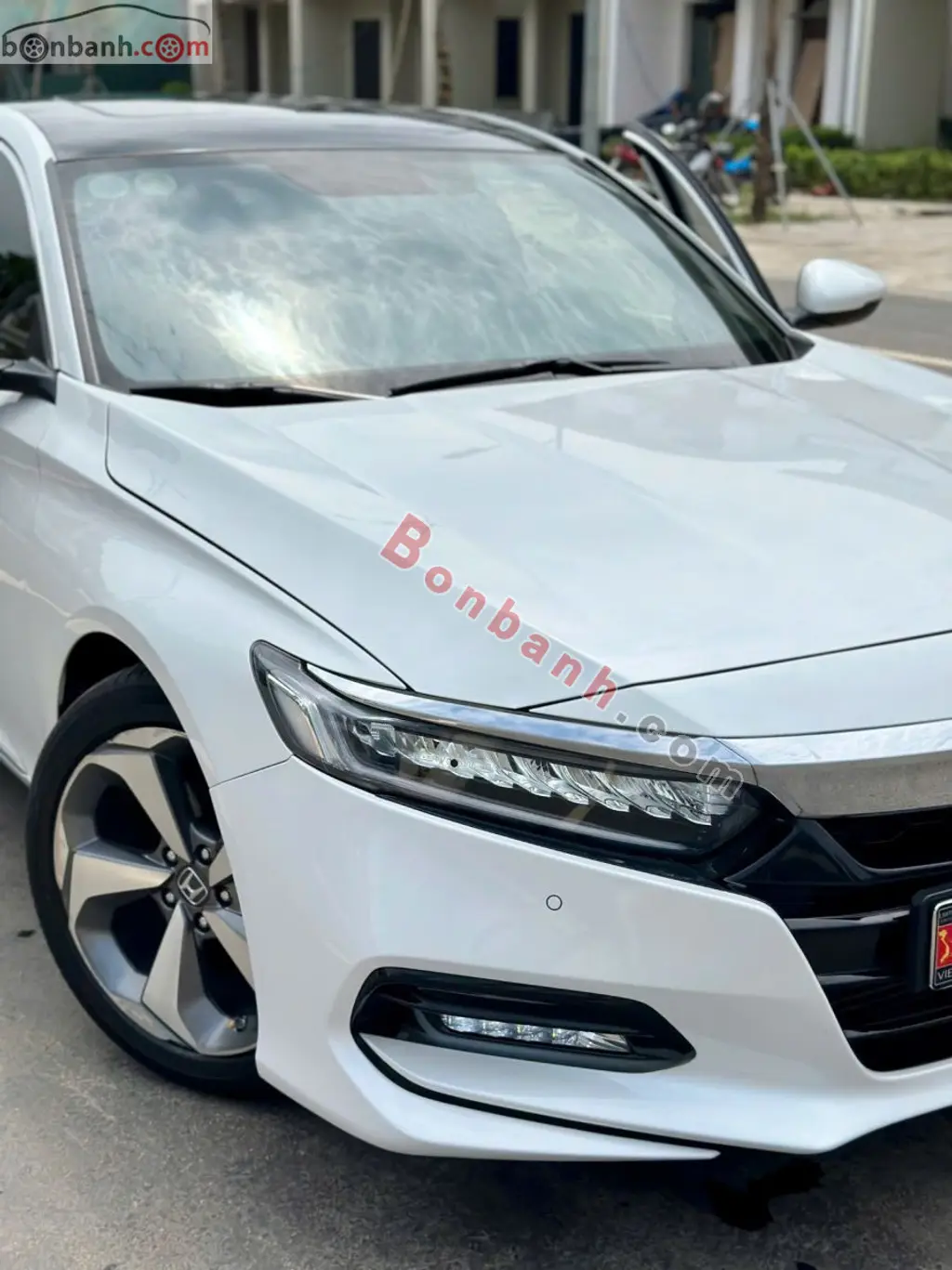 Hình ảnh số 5