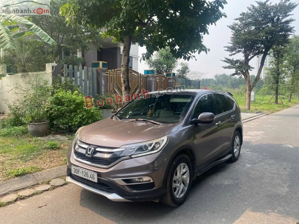Hình ảnh số 2