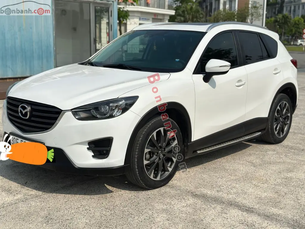 Hình ảnh số 3