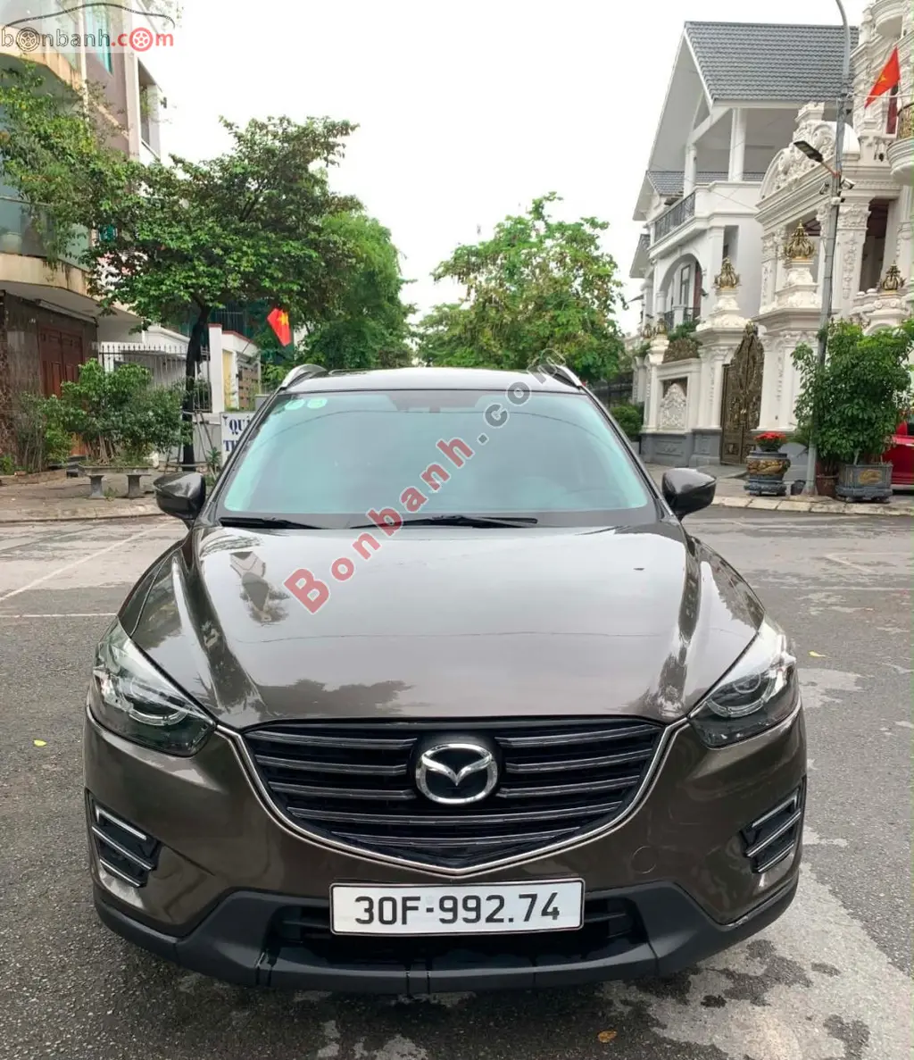 Hình ảnh số 2