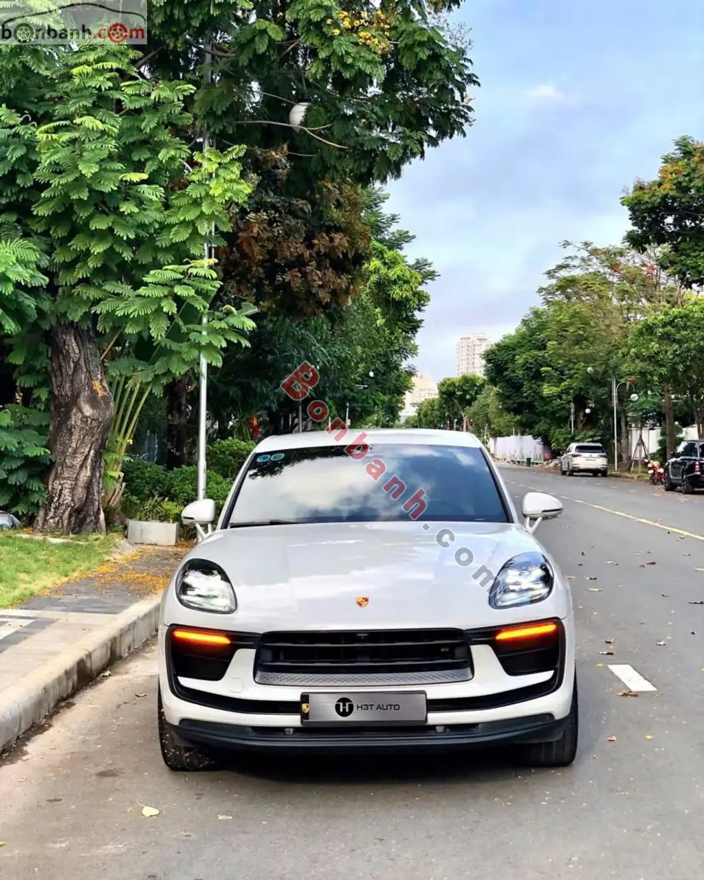 Hình ảnh số 2