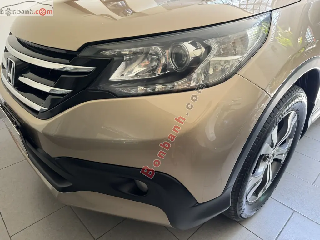 Hình ảnh số 2