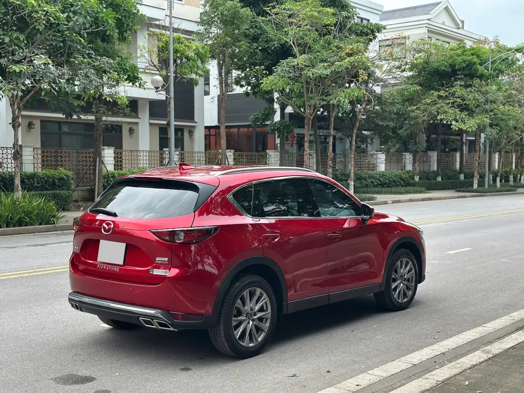 Hình ảnh số 4