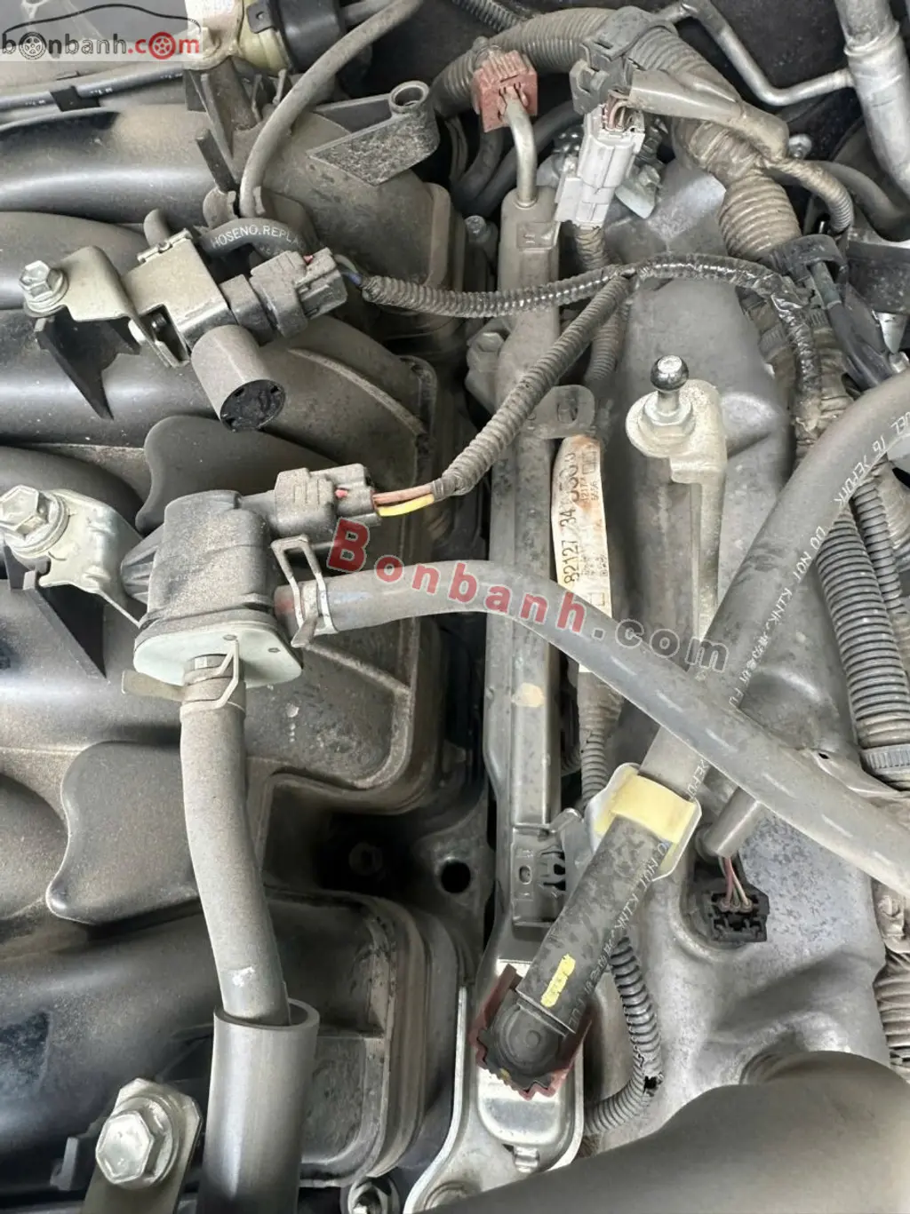 Hình ảnh số 10